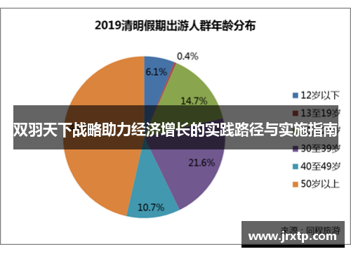 双羽天下战略助力经济增长的实践路径与实施指南